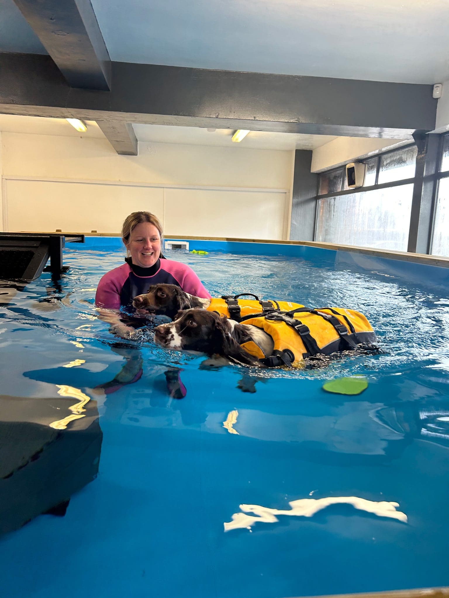 Stack Pool Kidderminster Dog Swimming Pool in Kidderminster | K9 Leisure Club